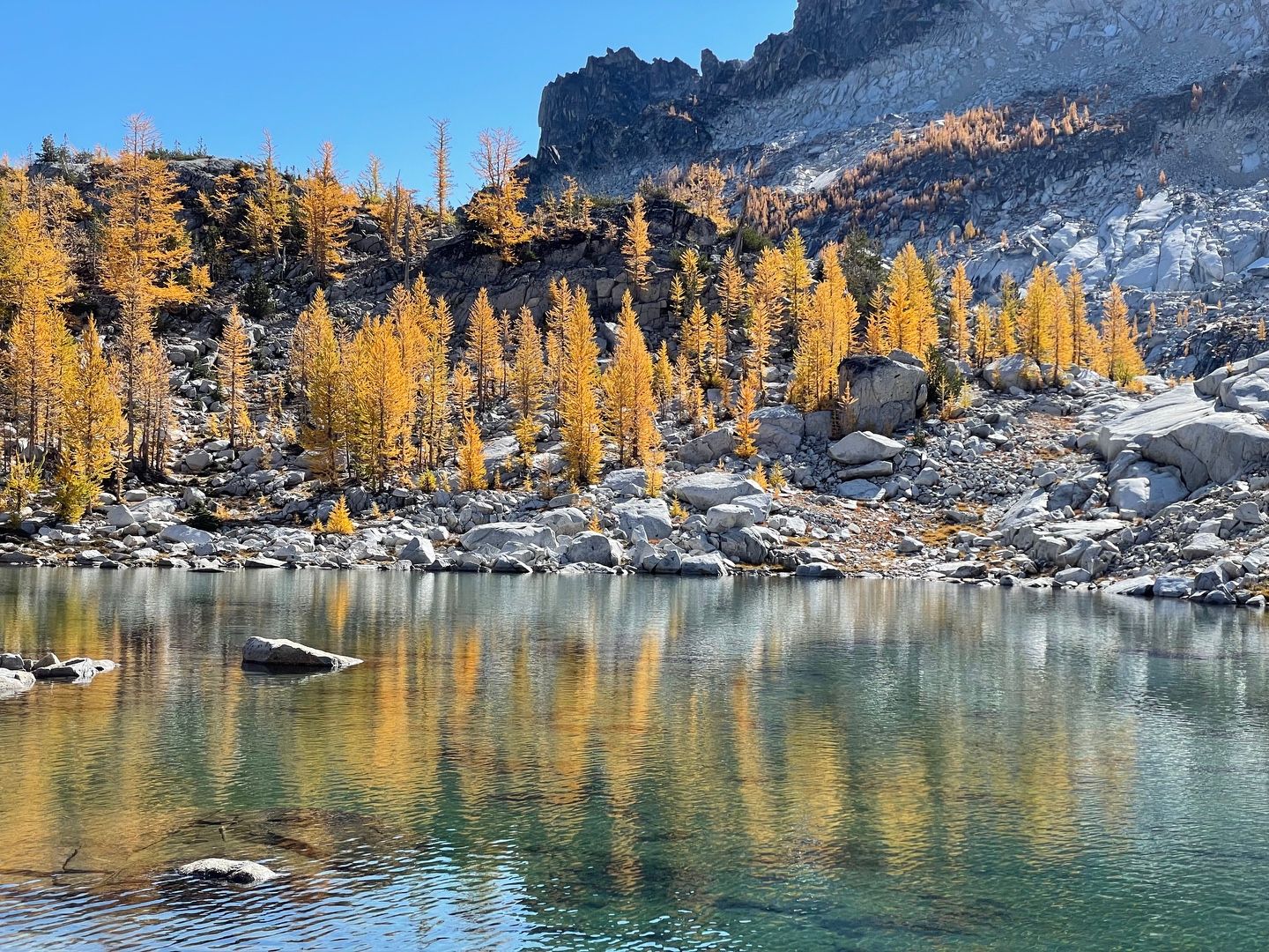 Reflections in the water