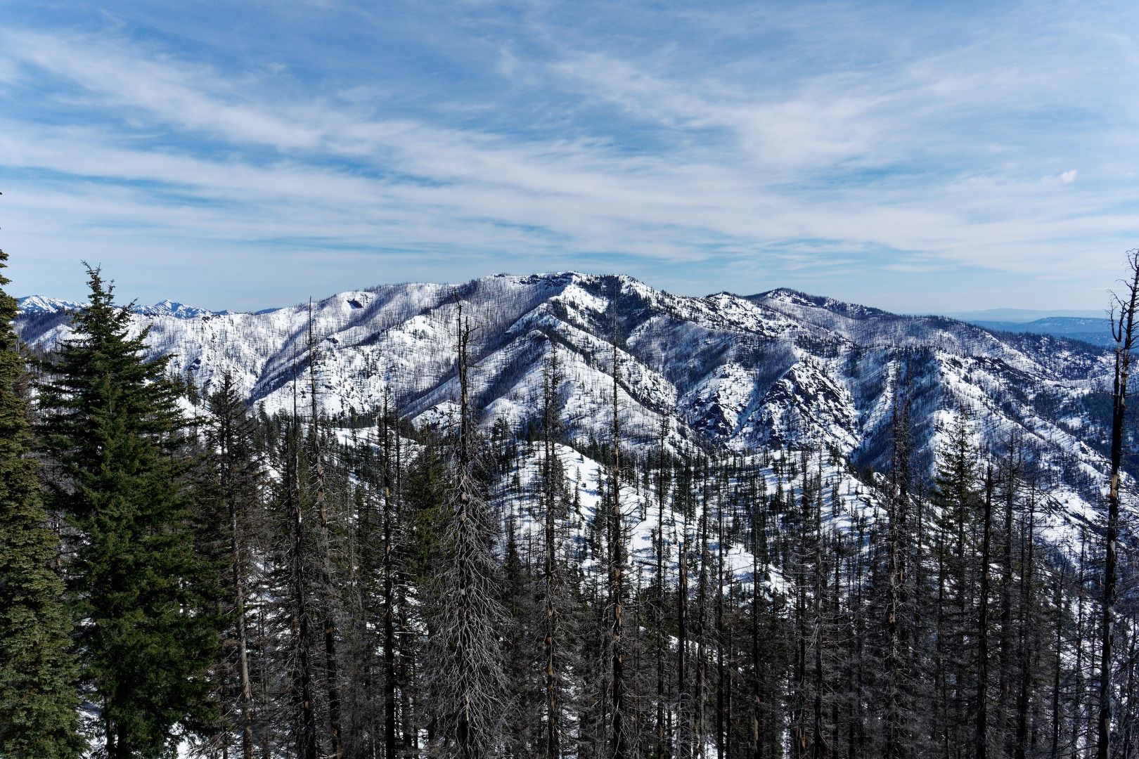 Elbow Peak from Sasse Ridge