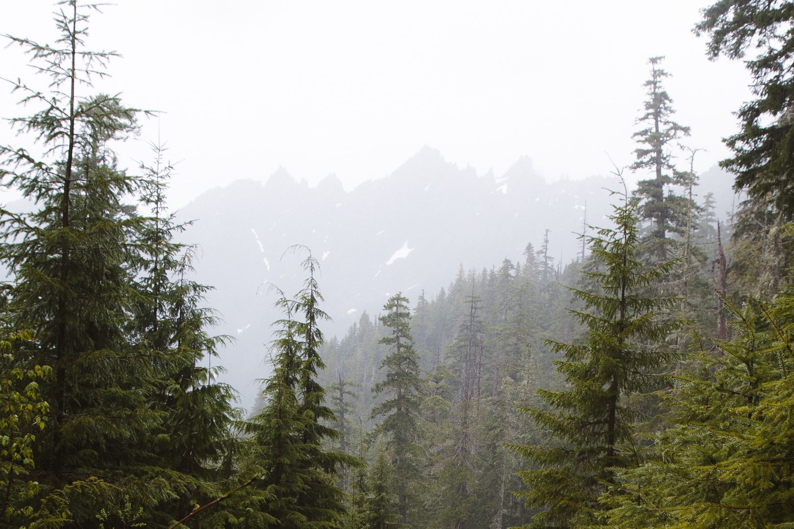 Mt. Tebo in the mist