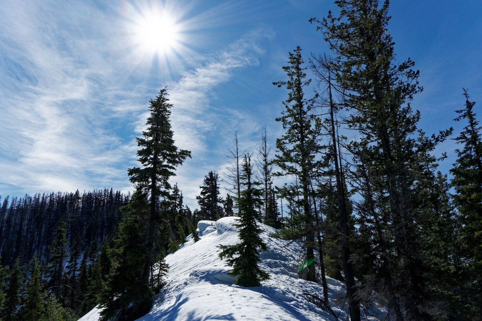 Ridge traverse to Not So Sasse