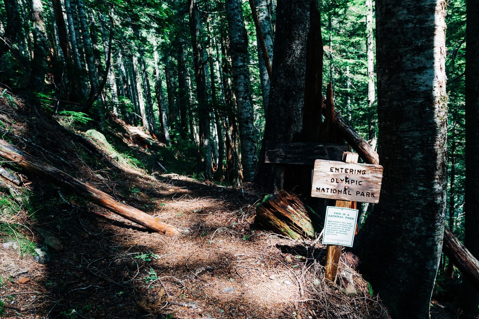 National park ahead