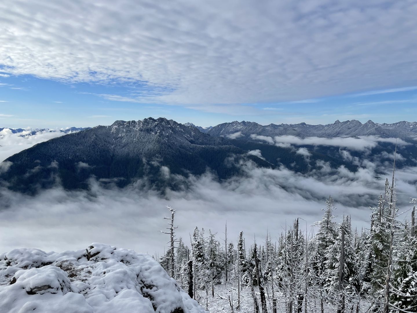 Rosy view from the summit