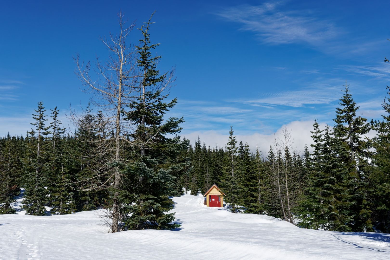 Snow shelter