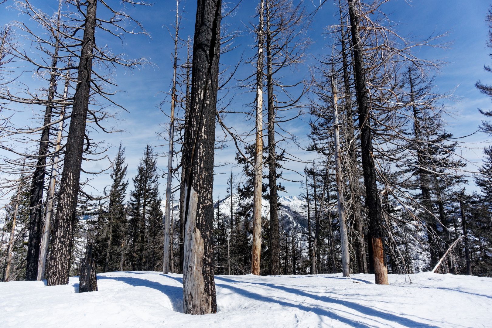 Sentinels on Sasse summit