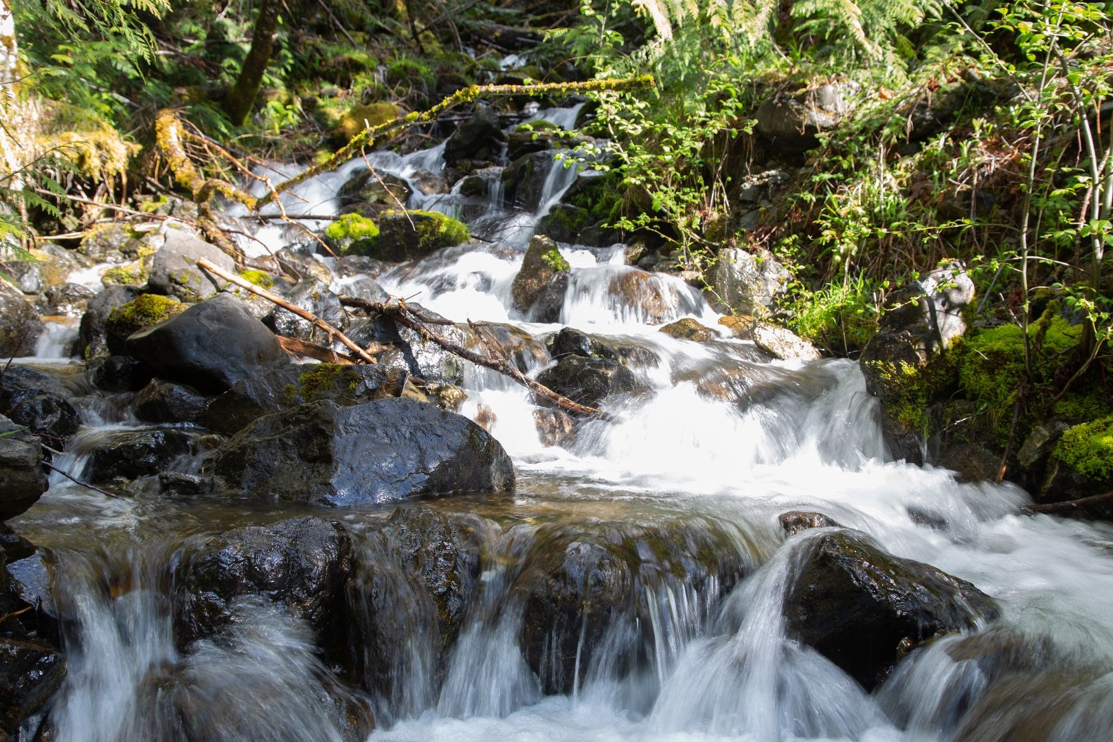 Falling water along the trail