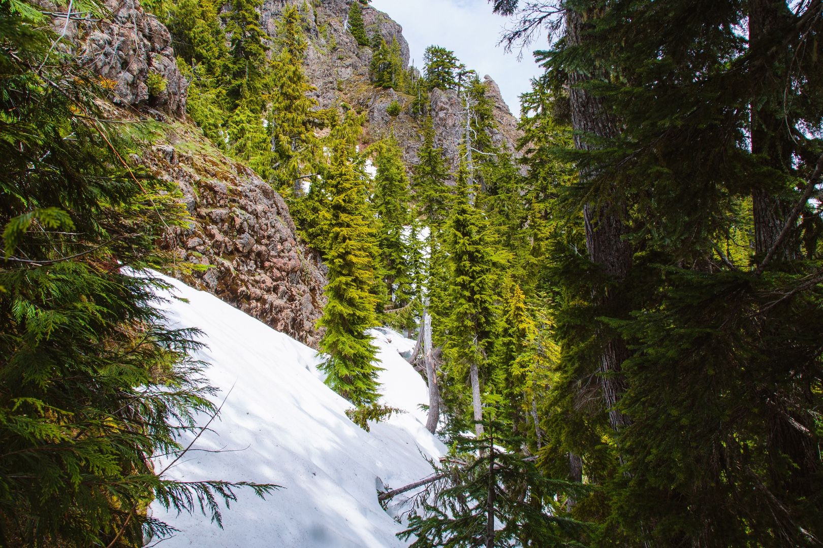 Snow gully at 4,300 feet