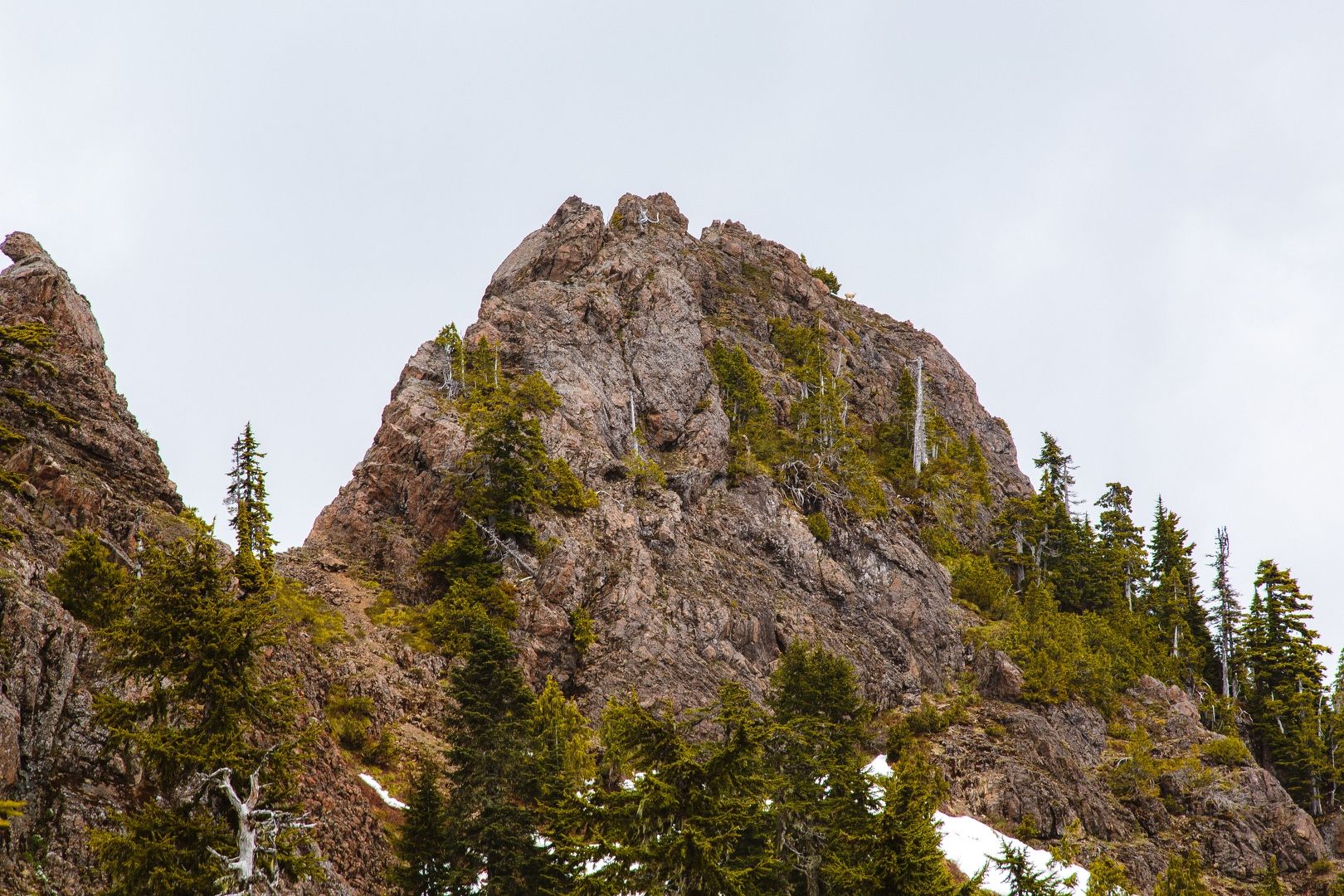 Summit + mountain goat view from SE