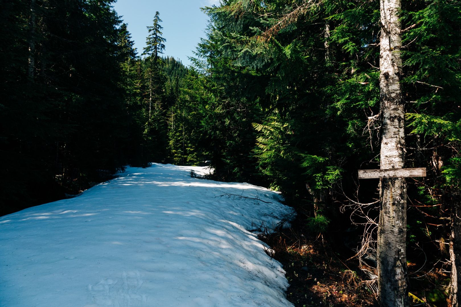 Road to Wynoochee Pass trailhead