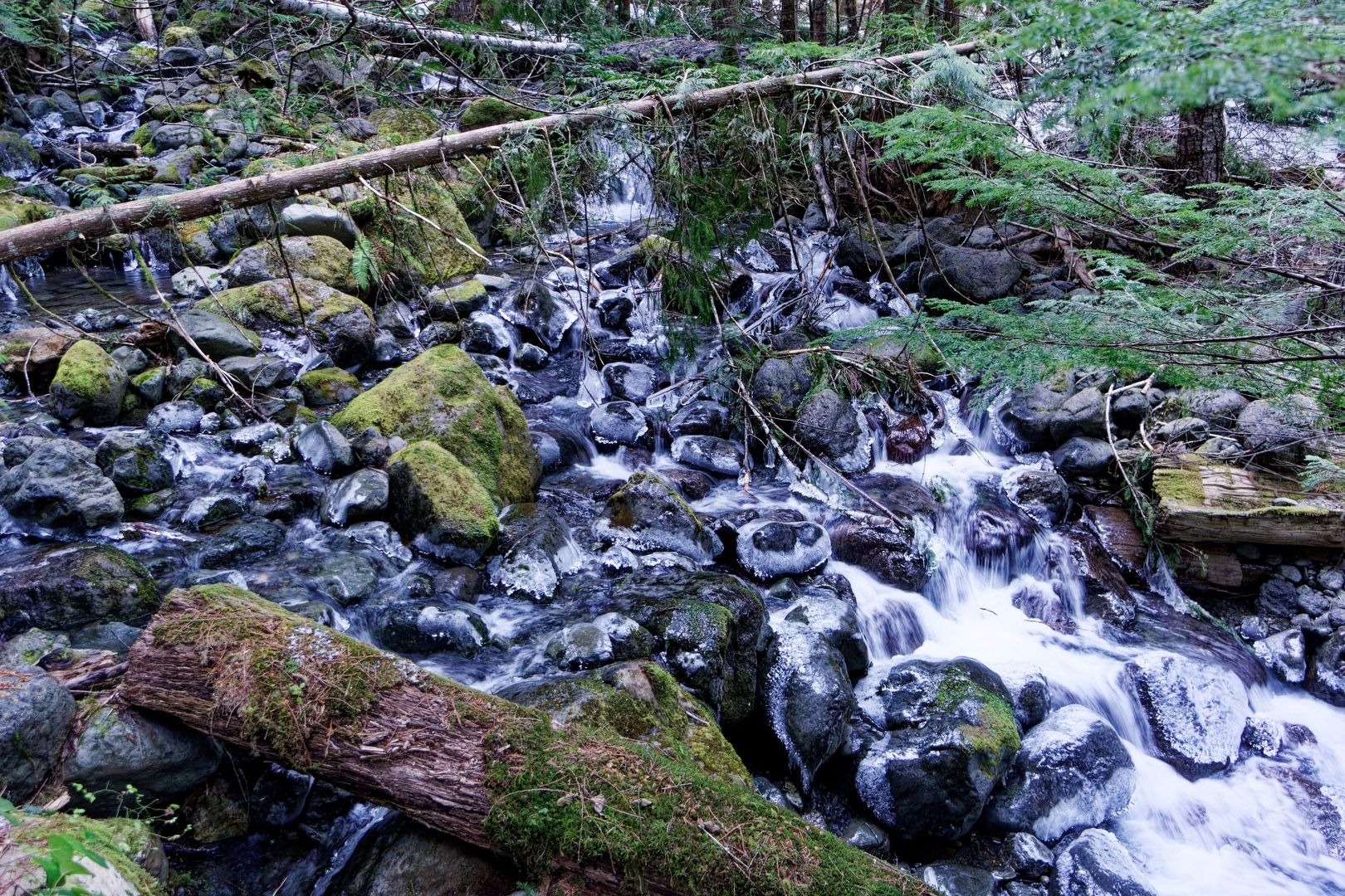 Frosty Big Creek