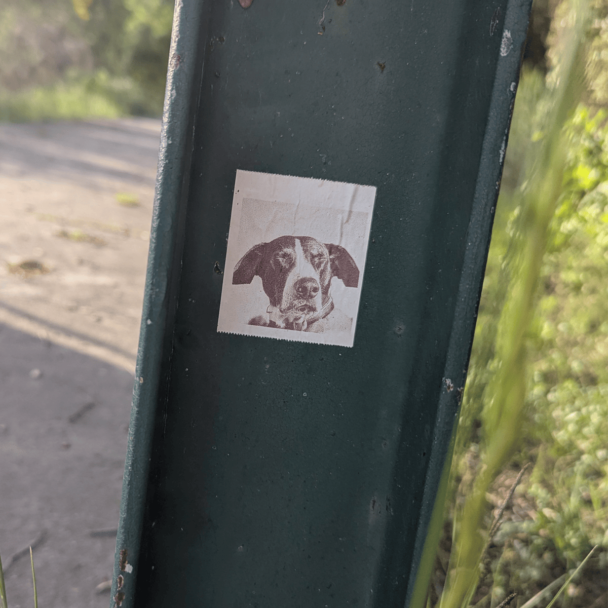 Sur un dernier montant du garde fou du canal