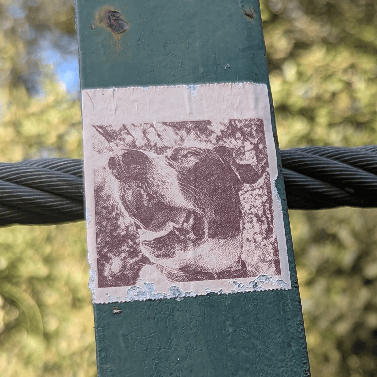 Sur un deuxième montant du garde fou du canal