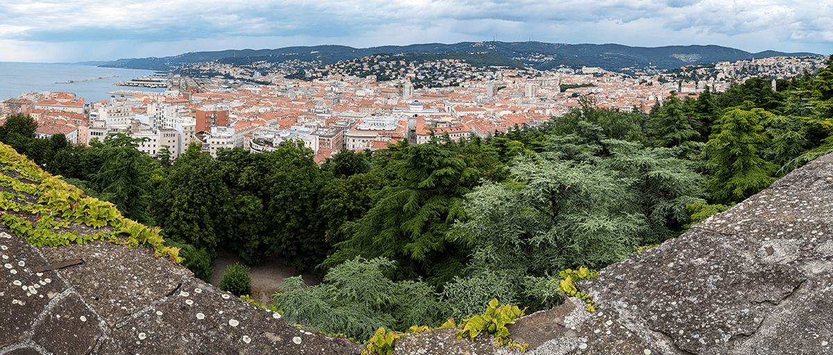 Tout le côté nord de Trieste, vu du château