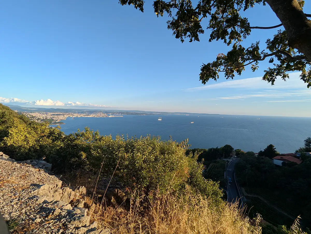 C’est beau.