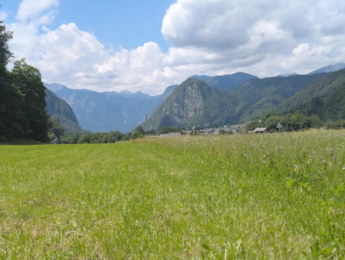 Paysage serein
