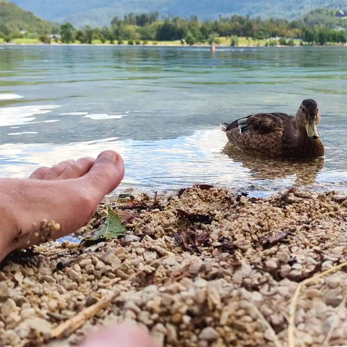 C’est le pied…