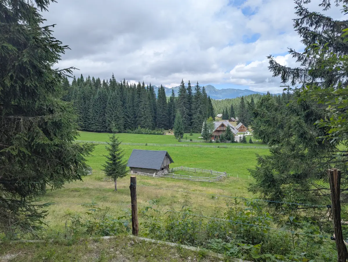 Je bila Heidi Slovenka?