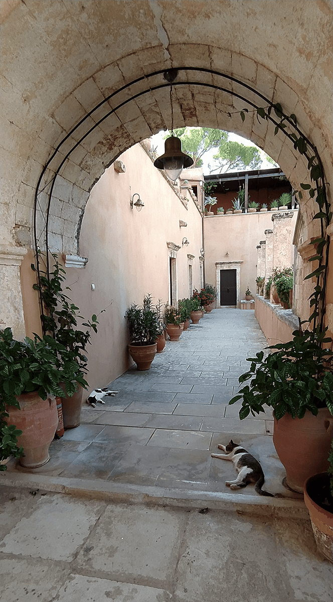 Un patio du monastère, avec ses traditionnels chats