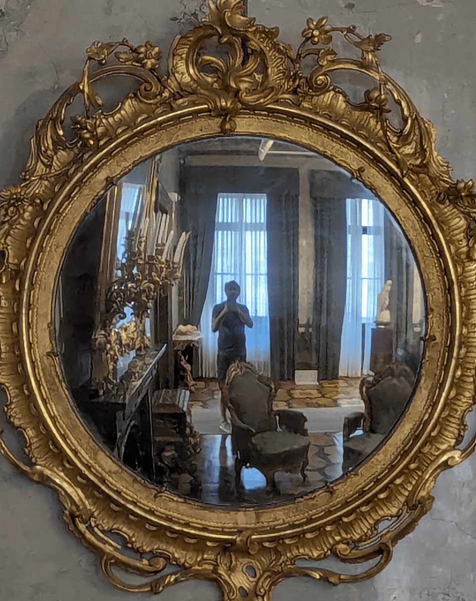L’auteur, dans une tentative de selfie de luxe
