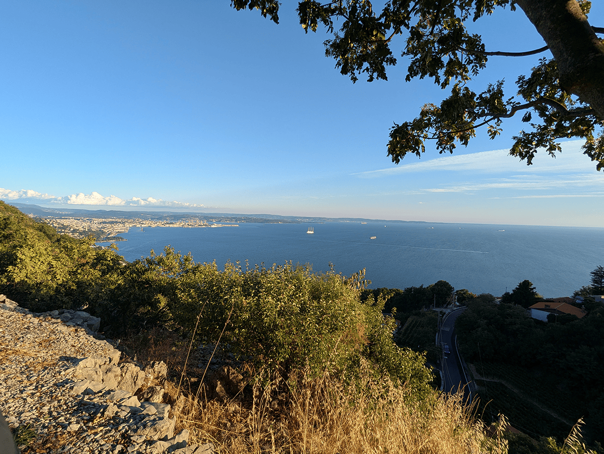 C’est beau.