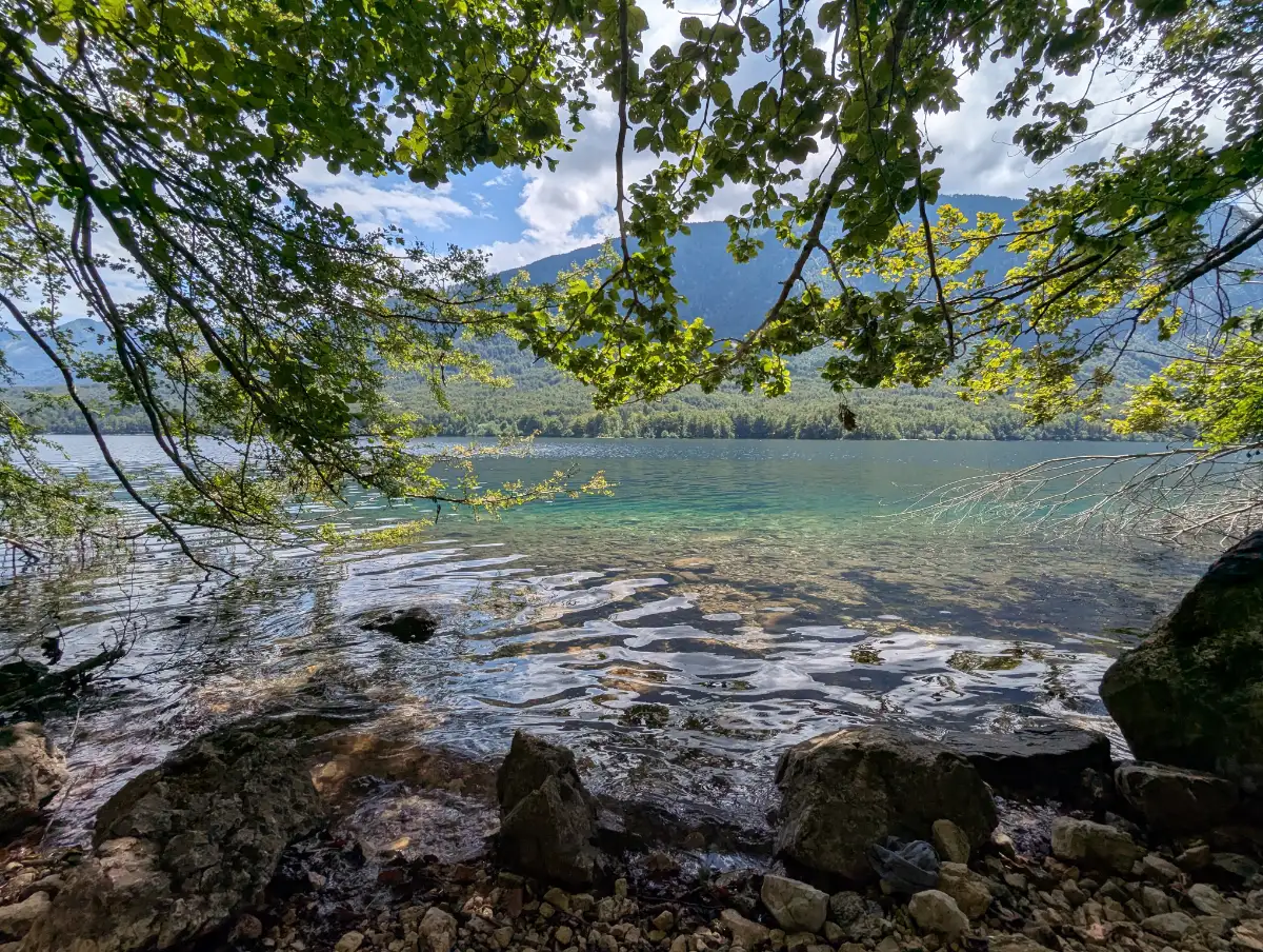 La plus belle vue pour déjeuner