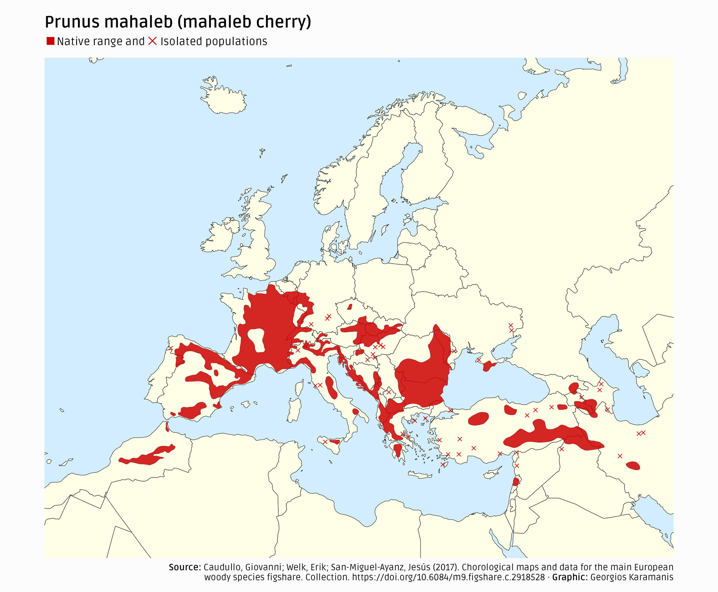 Map of Europe showing the native range and isolated populations of Prunus mahaleb (mahaleb cherry)