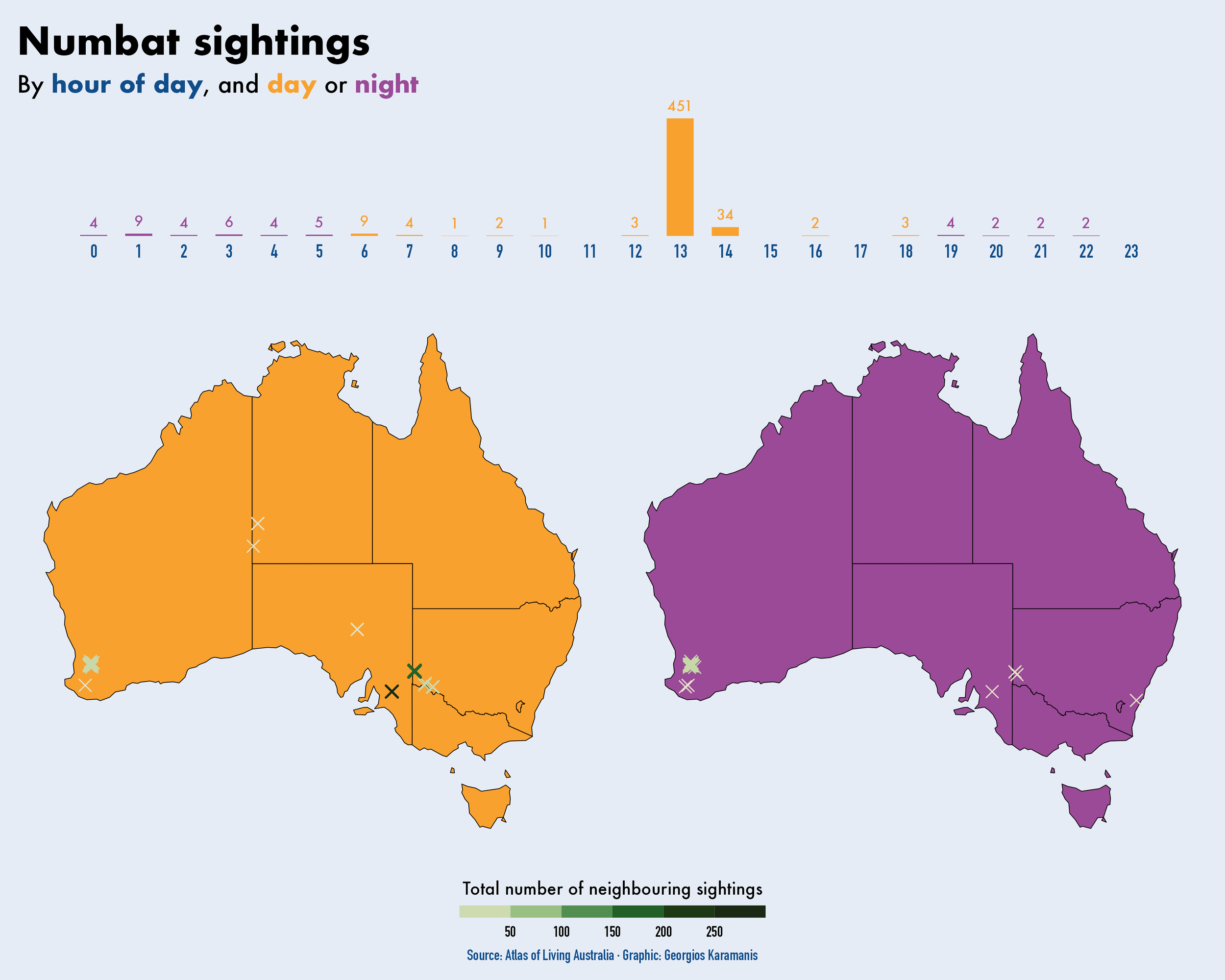 Two charts showing numbat sightings in Australia. The first one is a bar chart showing the number of sightings by hour of day. The second is a faceted map showing the location of the sightings by day/night. Almost all sightings occurred 13:00-14:00