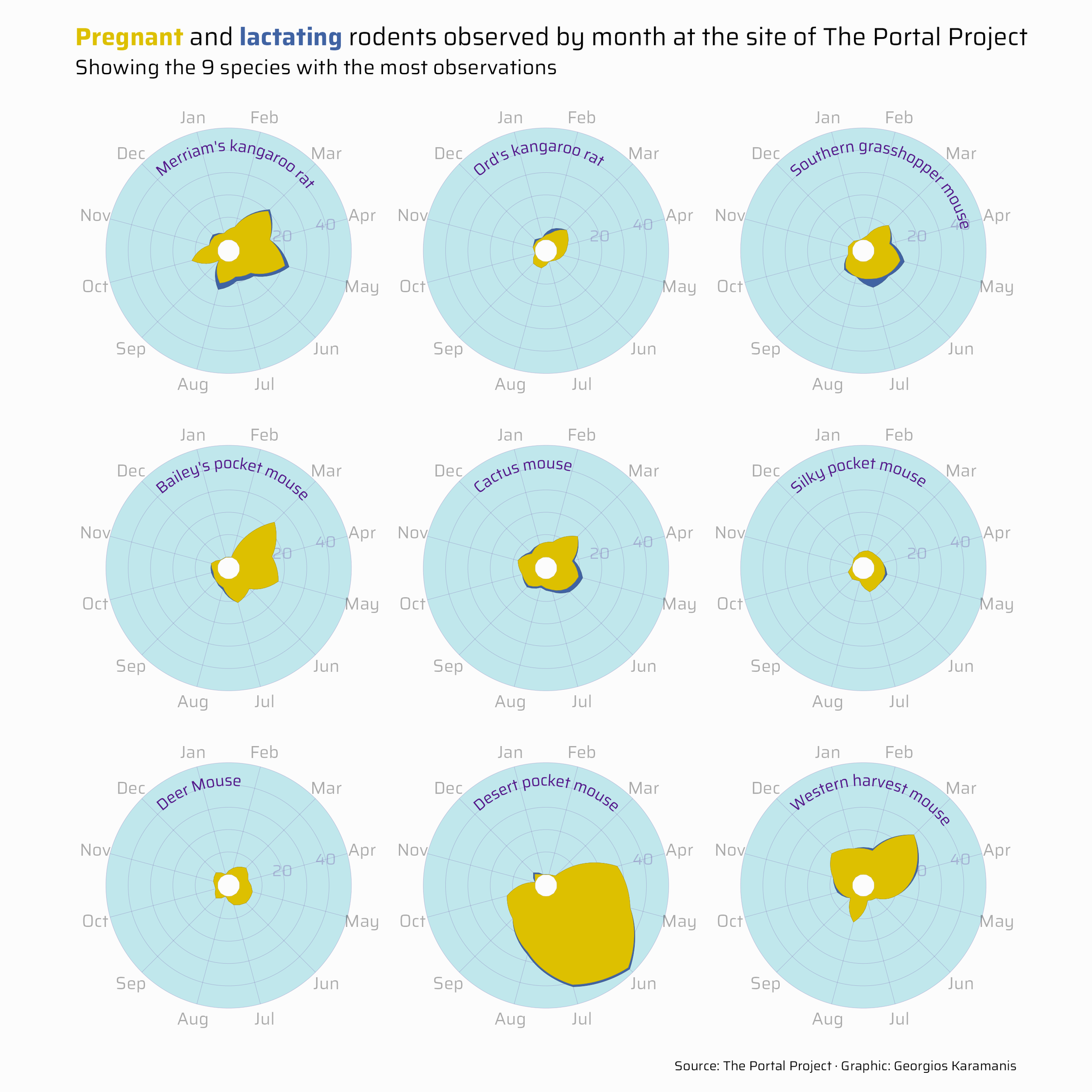 Faceted radar chart showing pregnant and lactating rodents observed by month at the site of The Portal Project. Showing the 9 species with the most observations.