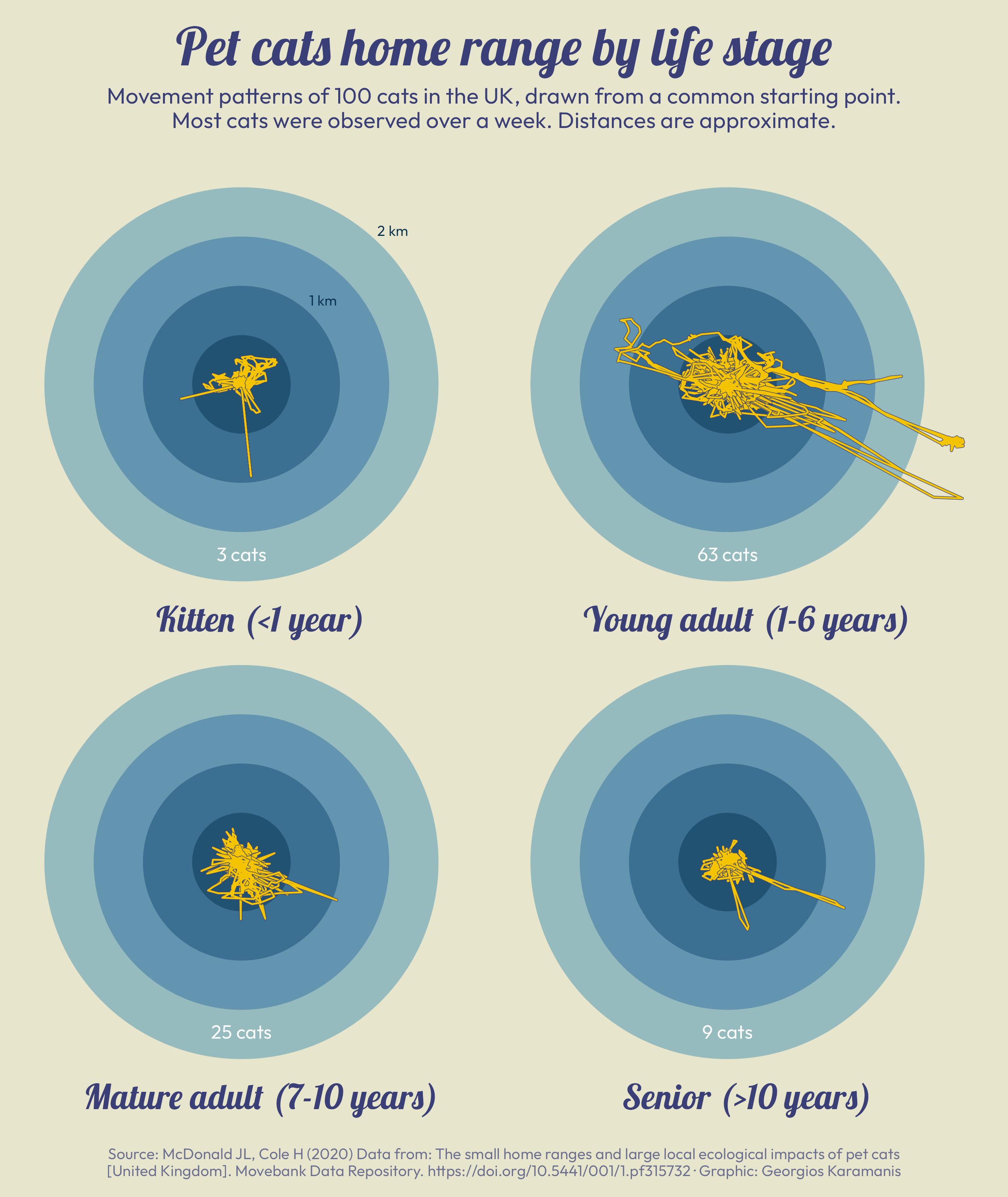 Chart showing the movement range by life stage of 100 cats that were monitored in the UK. Young adult (1-6 years) cats seem to be more active compared to younger and older cats.