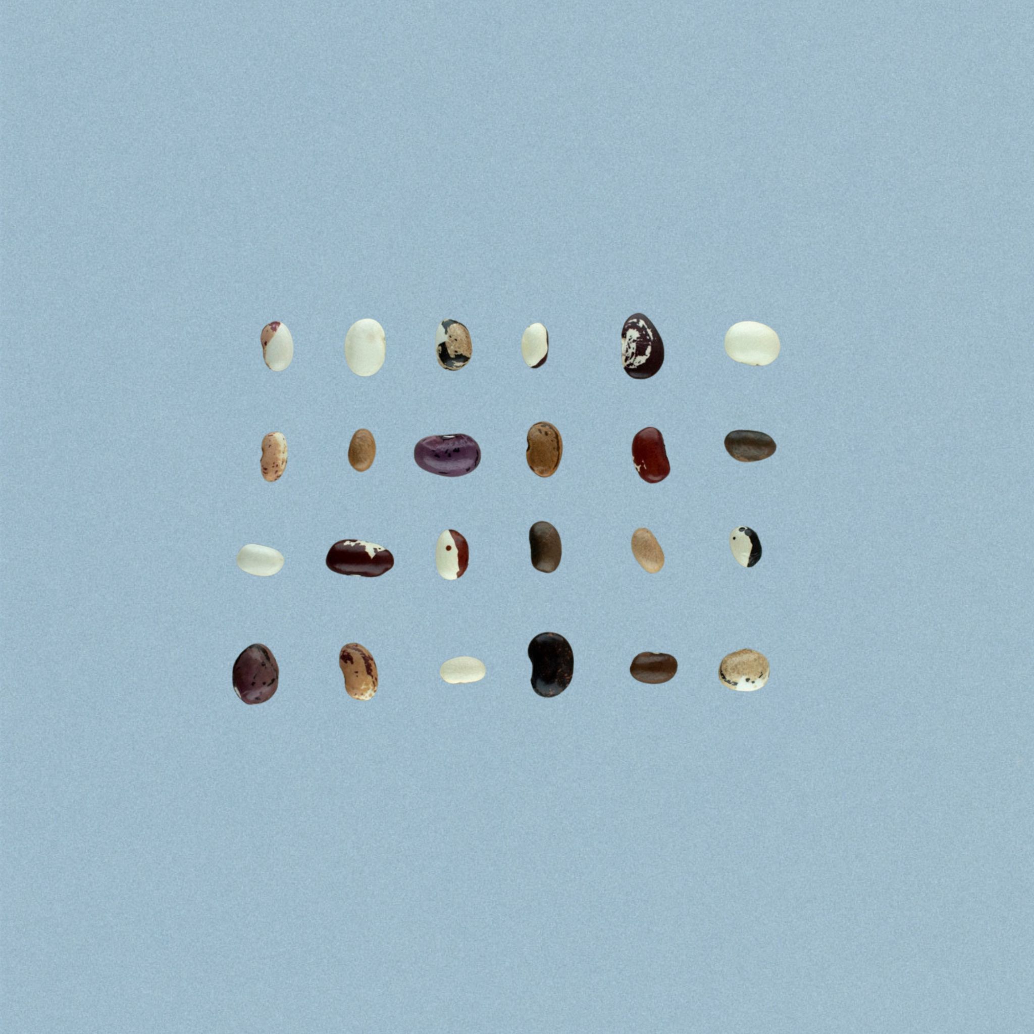 A collection of beans.
