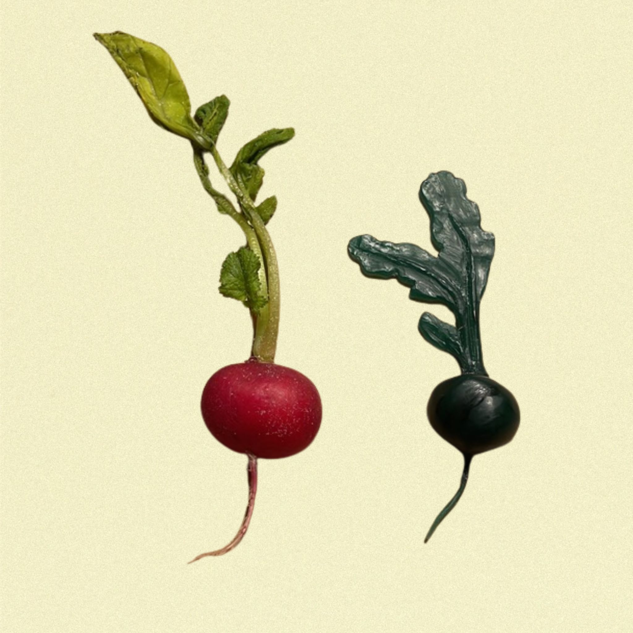 A radish modeled in lost wax.