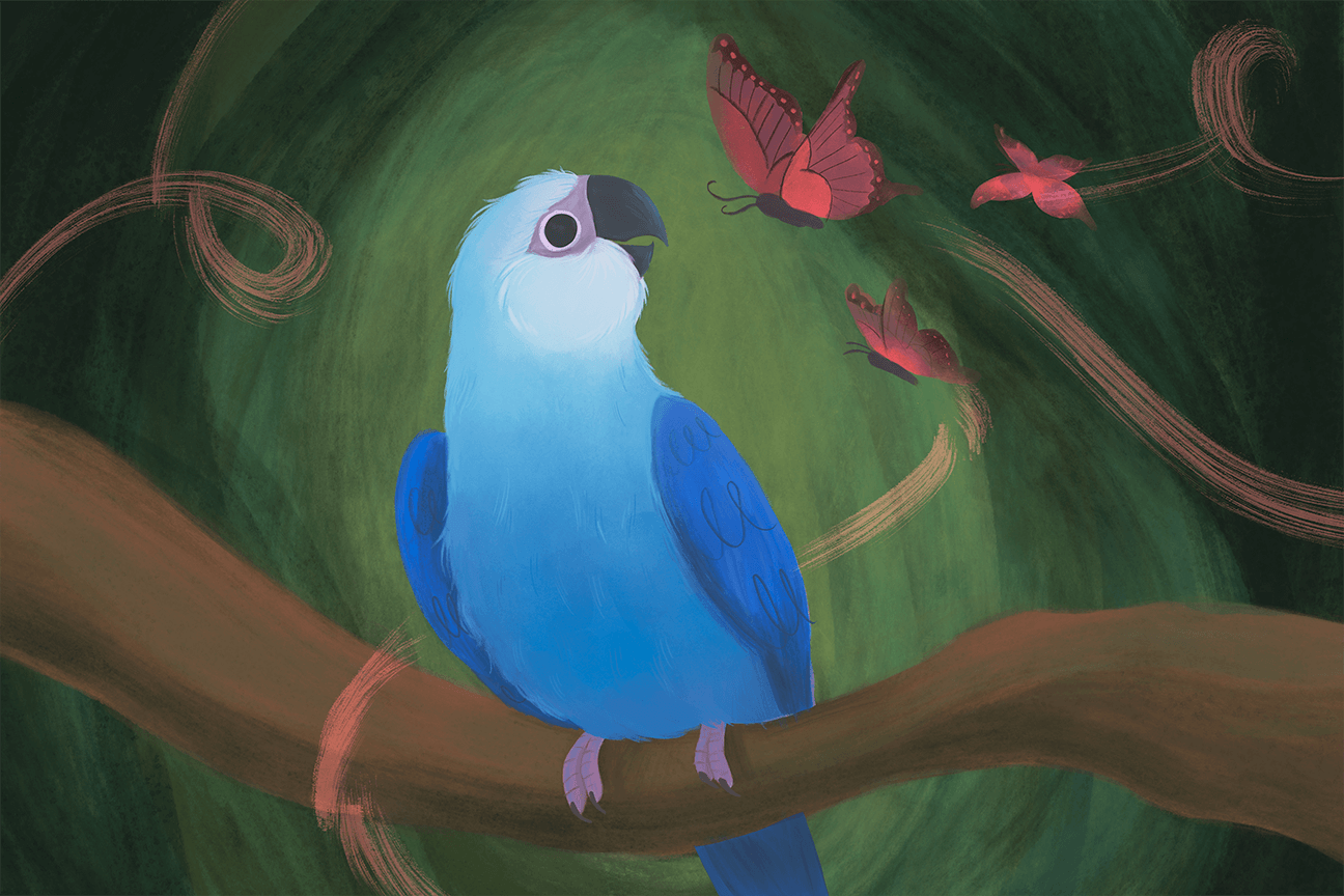 Spix's Macaw