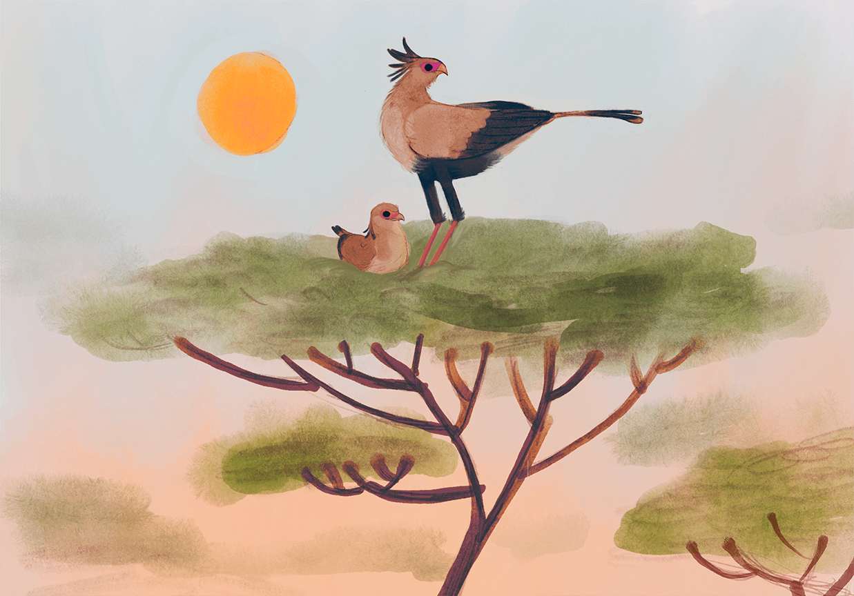 Secretary Bird