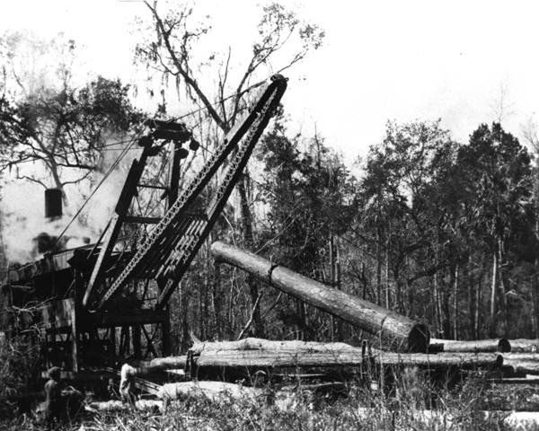 Men load pine logs onto a flatcar in Florida ca. 1920s. State Archives of Florida