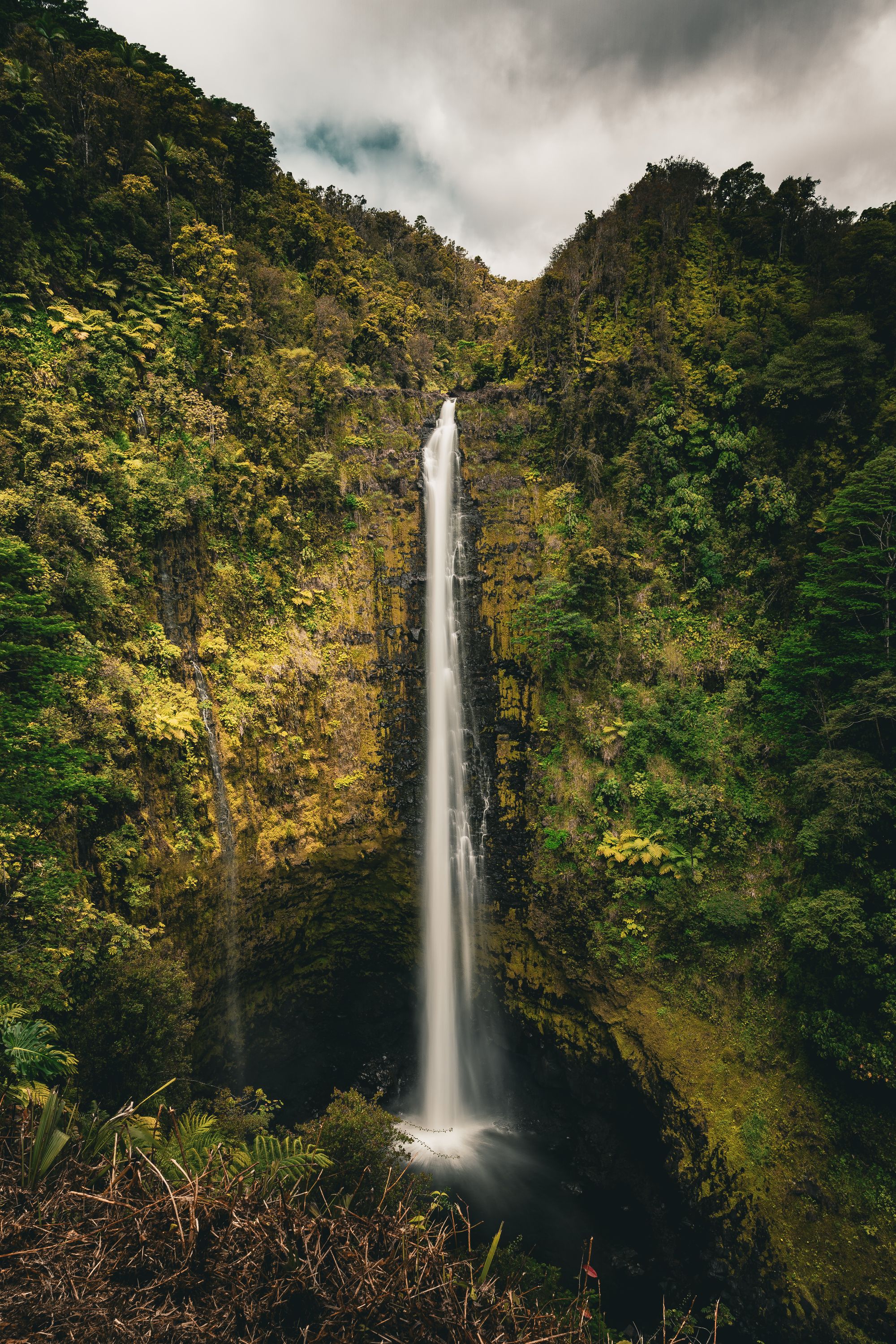 Akaka Falls is the largest and most popular waterfall in Hawaii