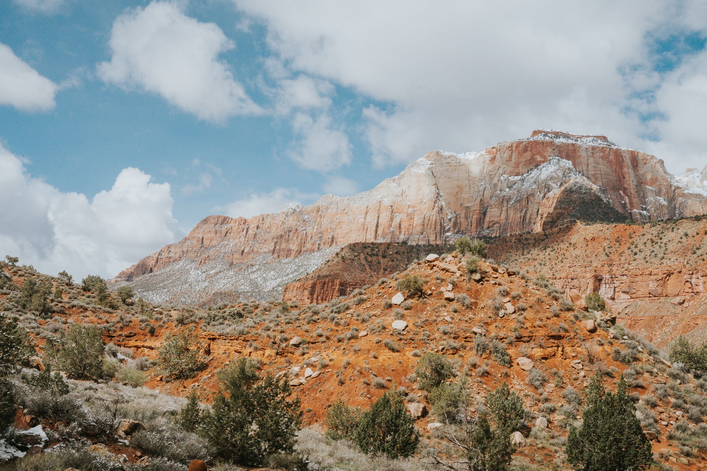 A hiking trail in Zion