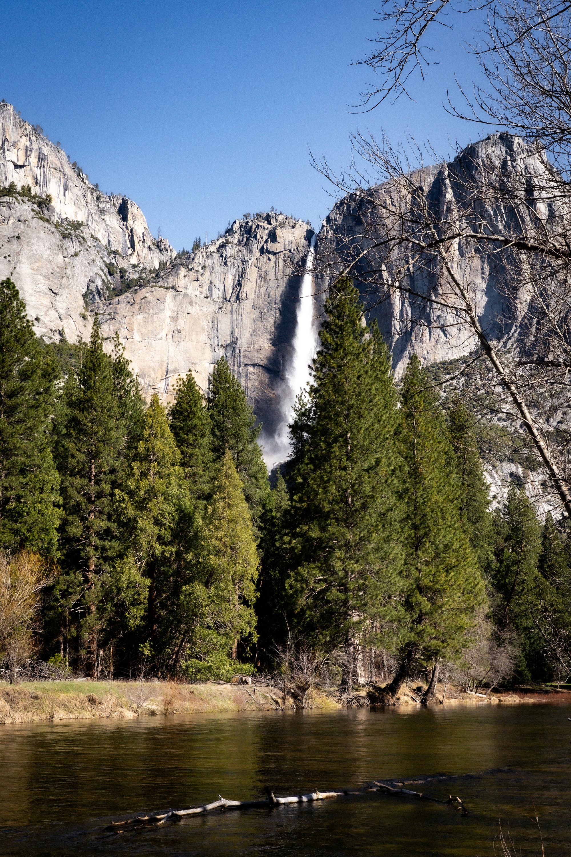 Yosemite Falls from the valley floor