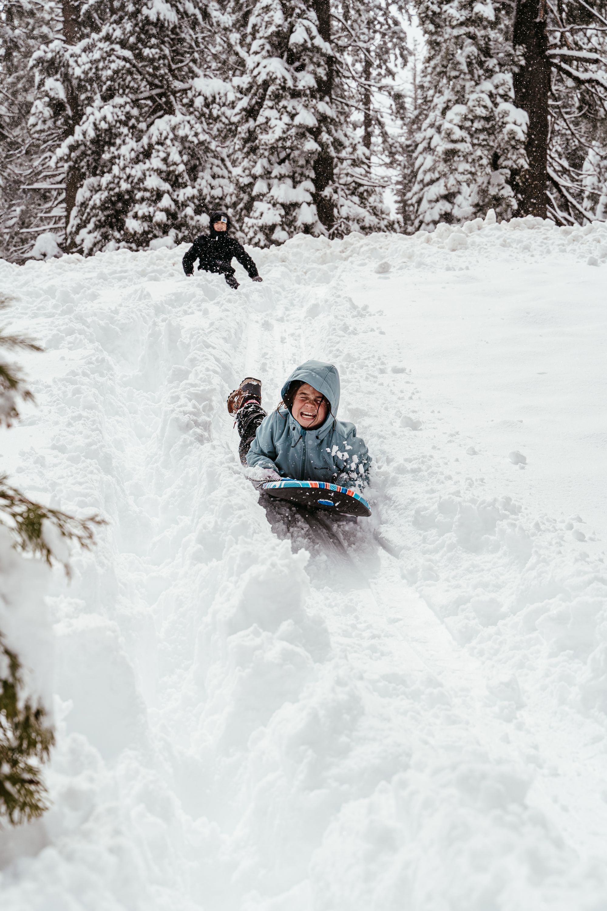 Riley having some fun sledding in deep snow