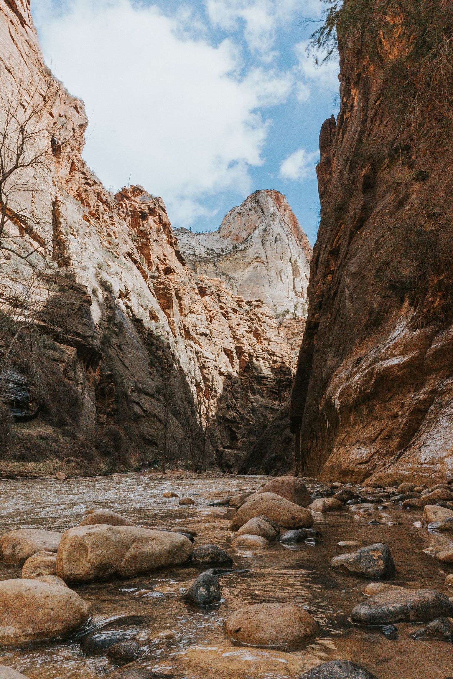 The Zion Narrows Riverside Walk is a 1.9 mile out-and-back trail in Zion National Park