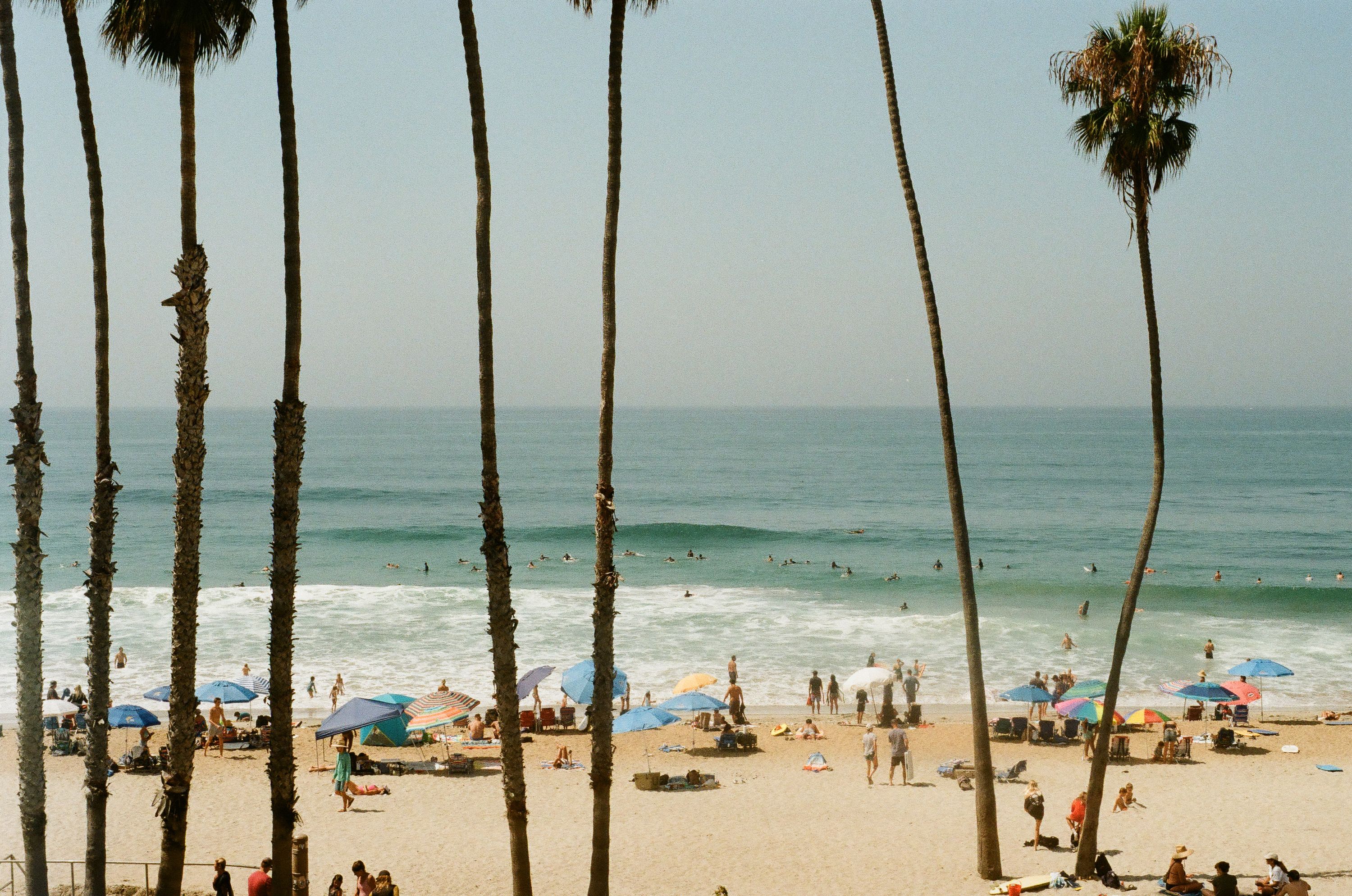 Palms trees and surf in San Clemente