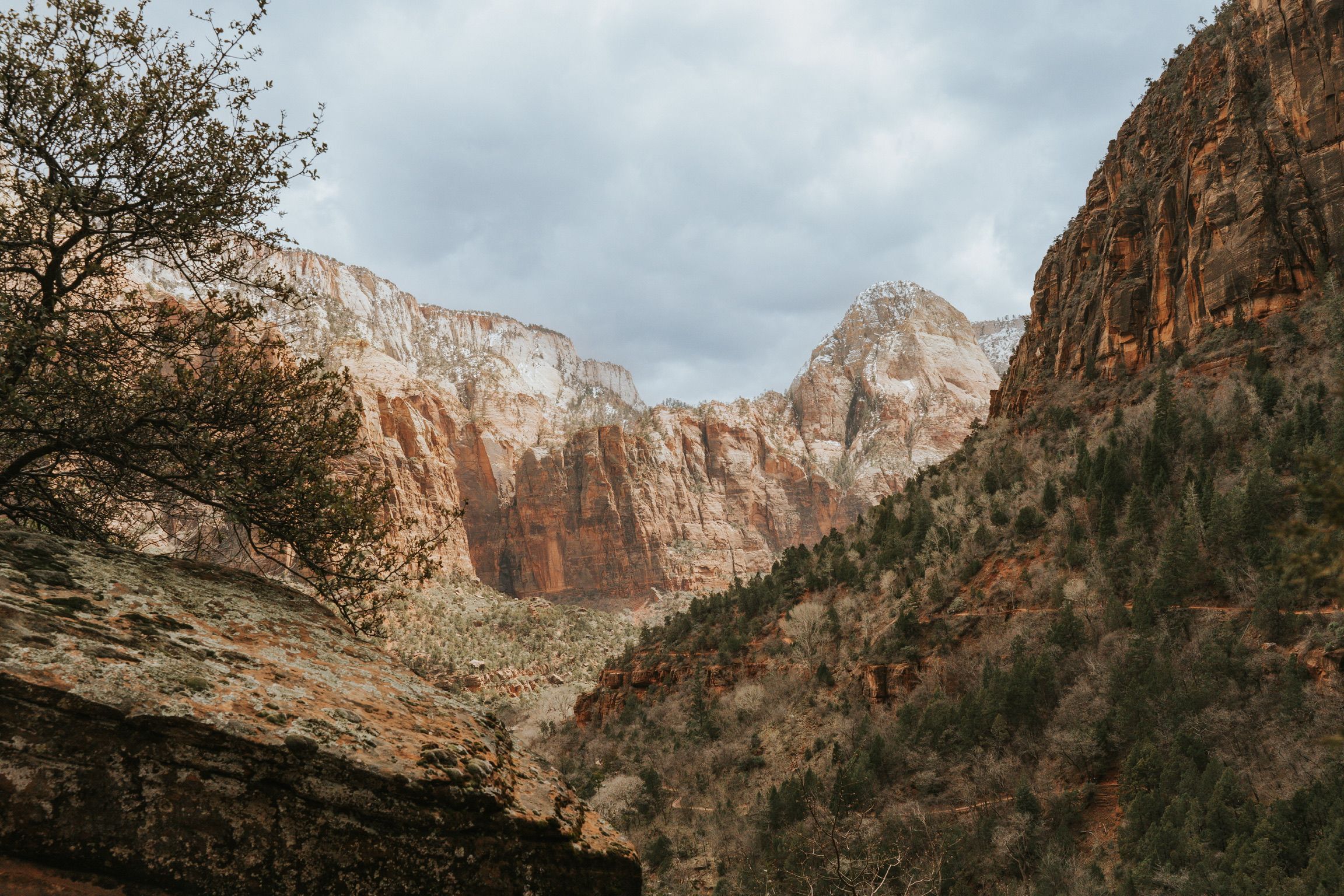 The Zion Grotto trail is a 1.2 mile hike that we connected to from the Emerald Pools trail