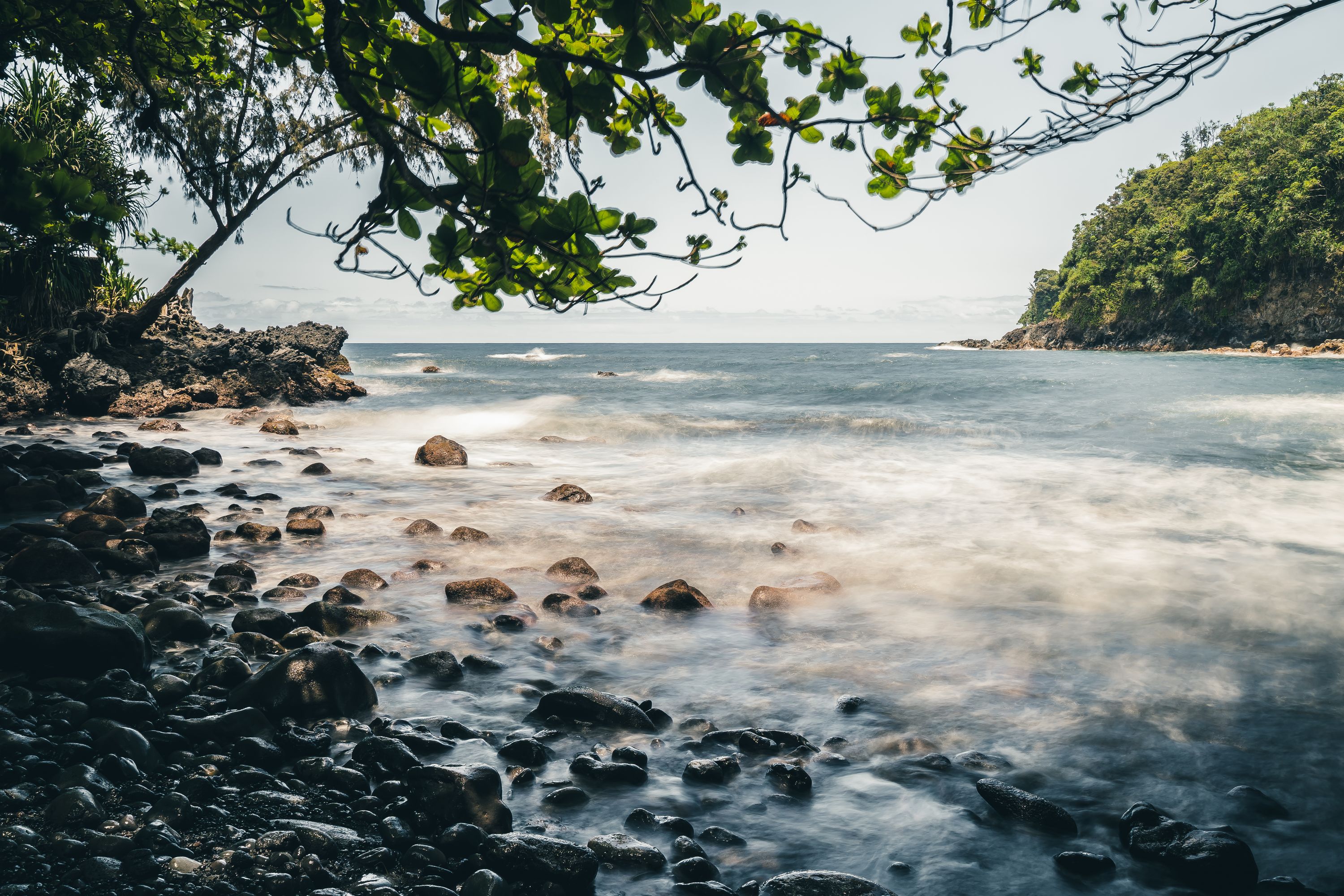 Onomea trail in Hawaii