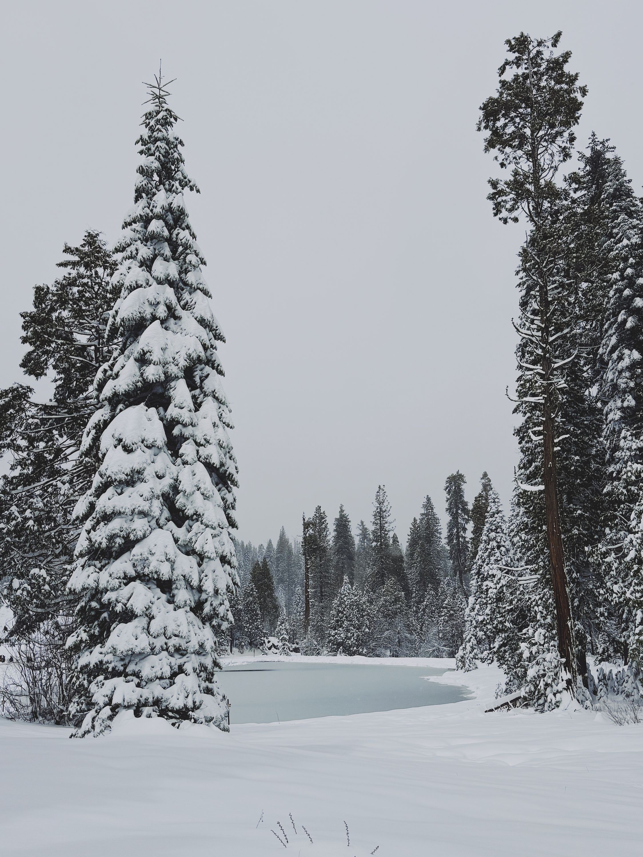 Frozen lake in Yosemite