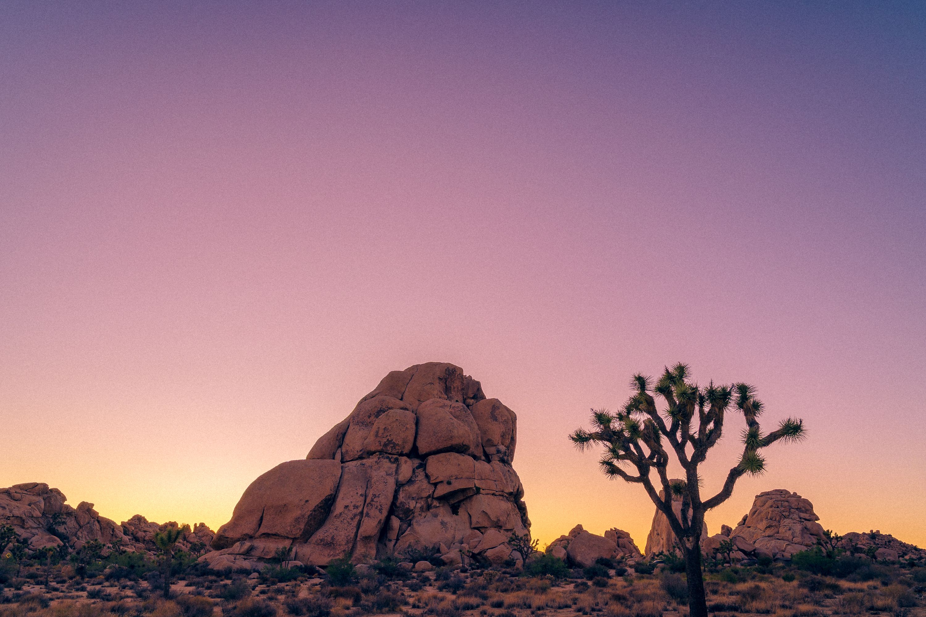 Intersection rock in Joshua Tree at sunset