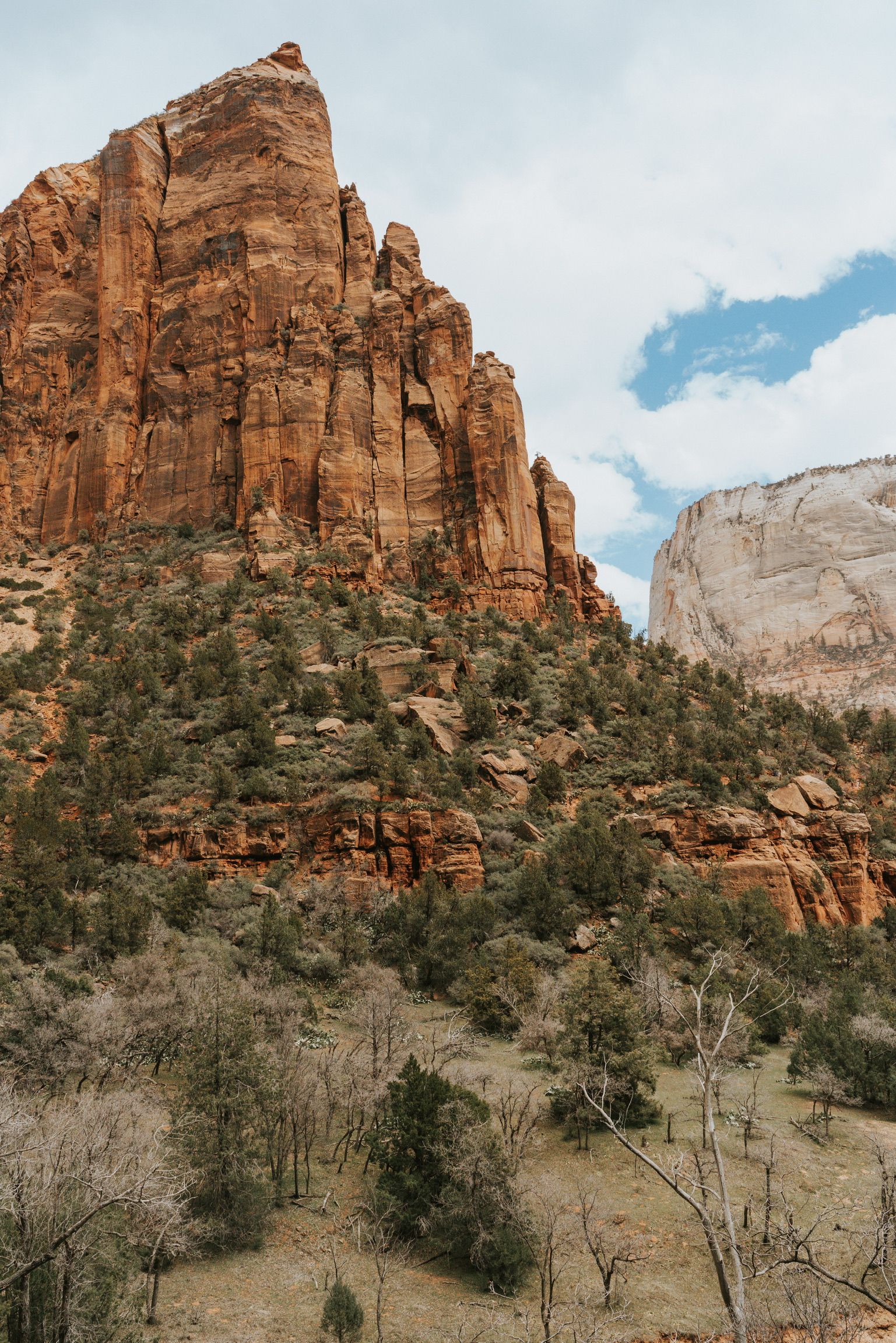 From the Lower Emerald Pool trail in Zion National Park
