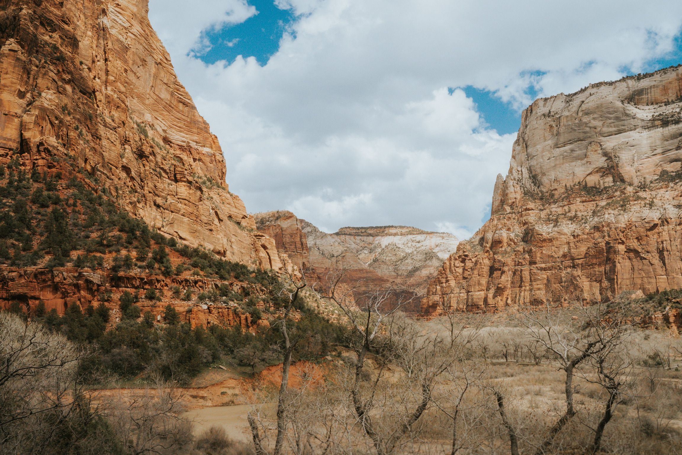 This is the flat area along the Lower Emerald Pool trail in Zion National Park