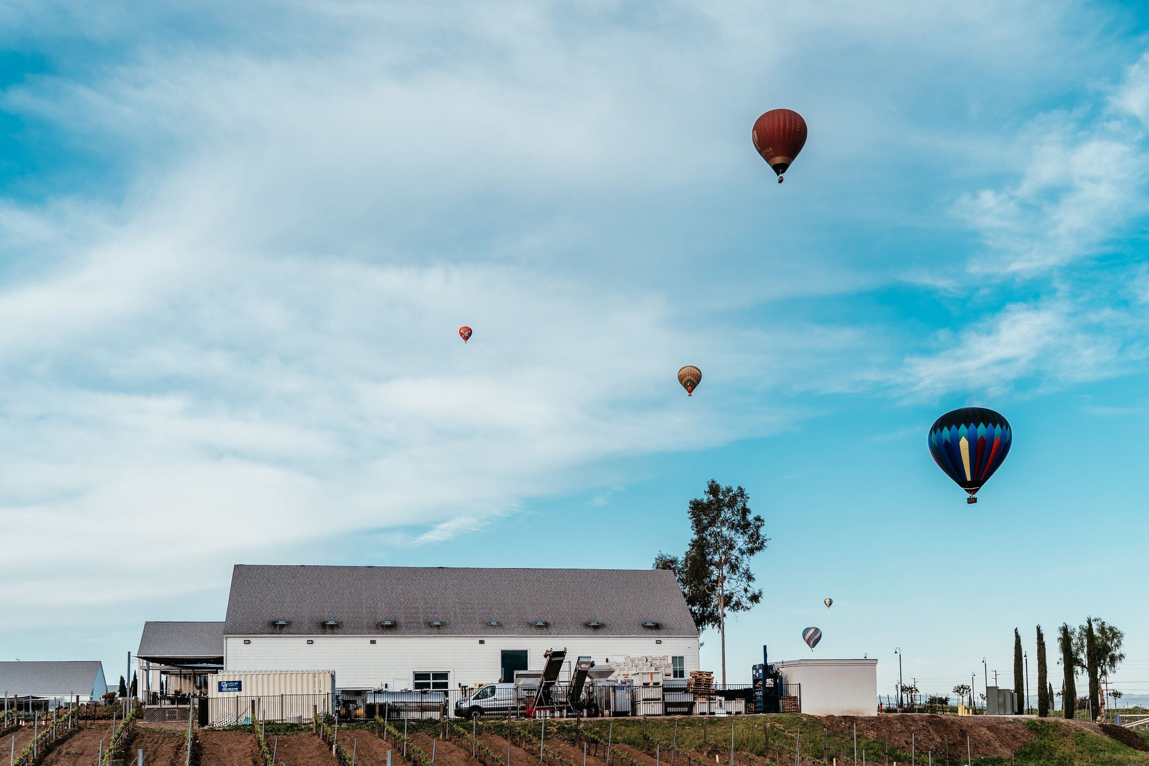 Chasing hot air balloons at sunrise