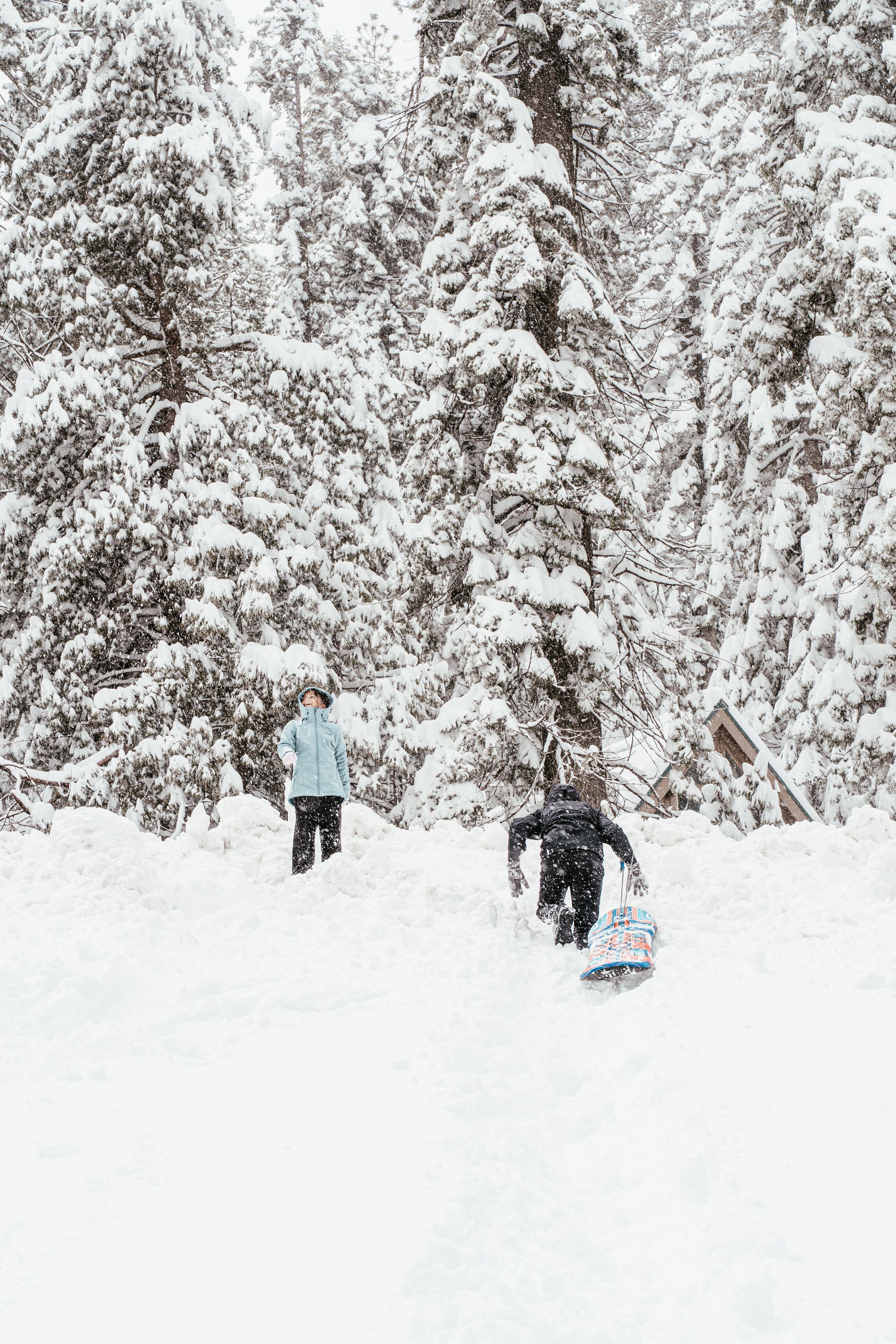 Connor and Riley embarked on a sledding adventure by trekking up a hill during a snowstorm