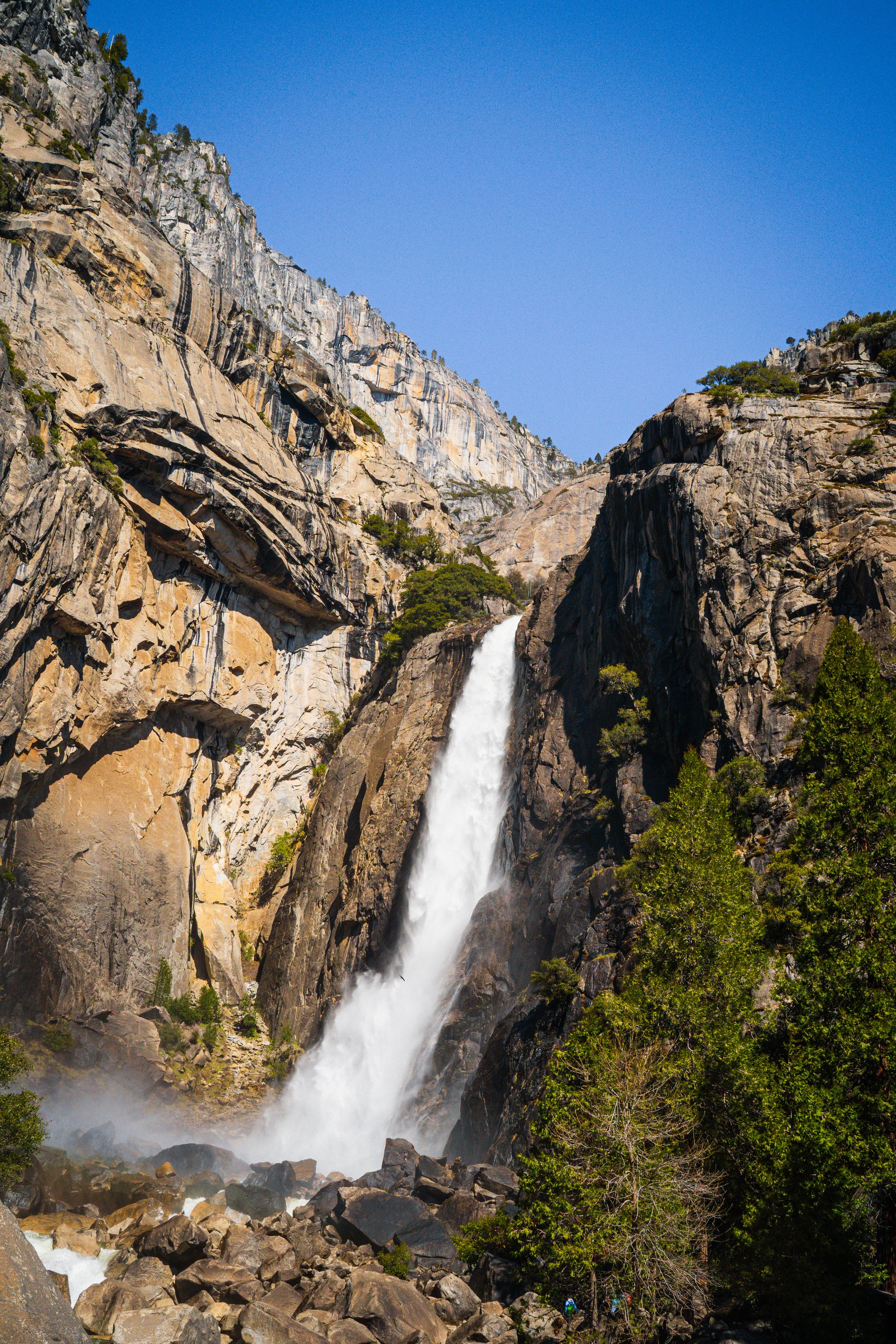 Lower Yosemite Falls