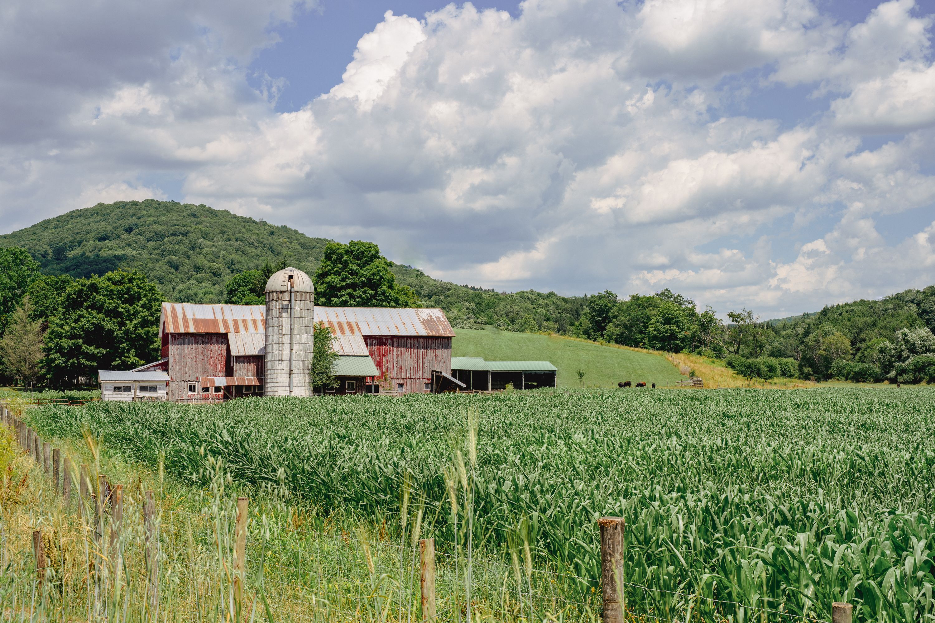 Lots of farm land in upstate New York on my way to Albany