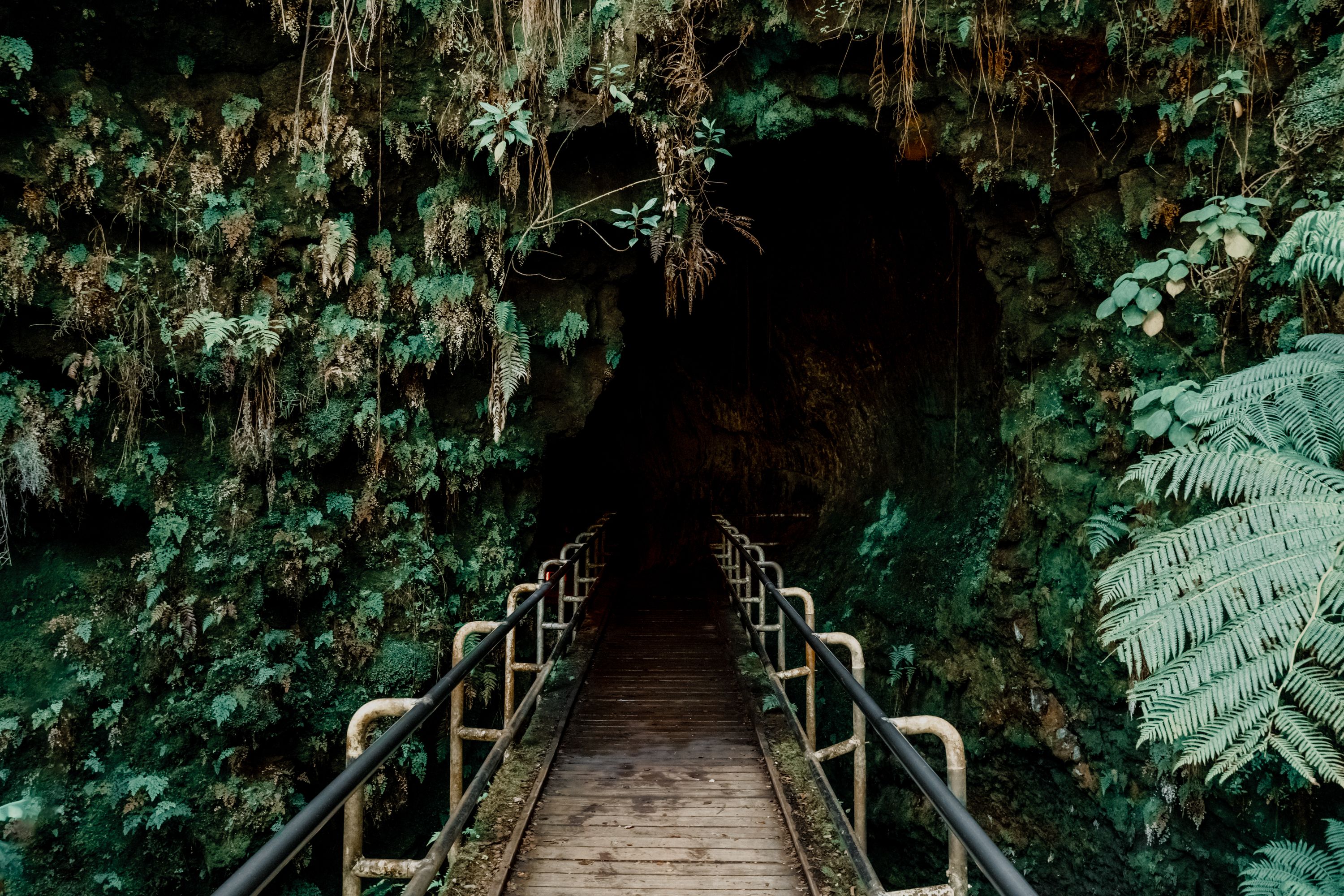 Entrance to Lava Tubes